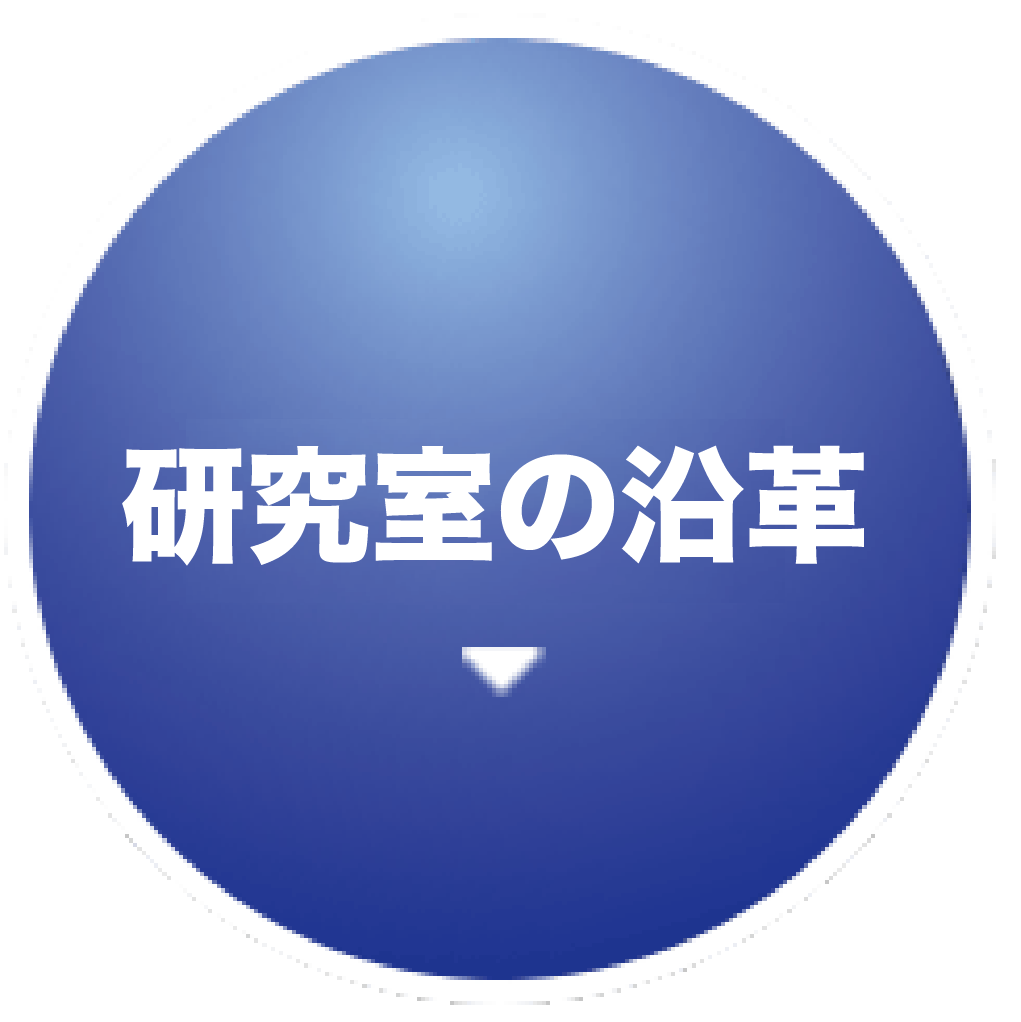 研究内容