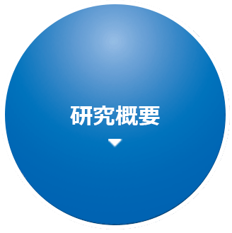 研究概要